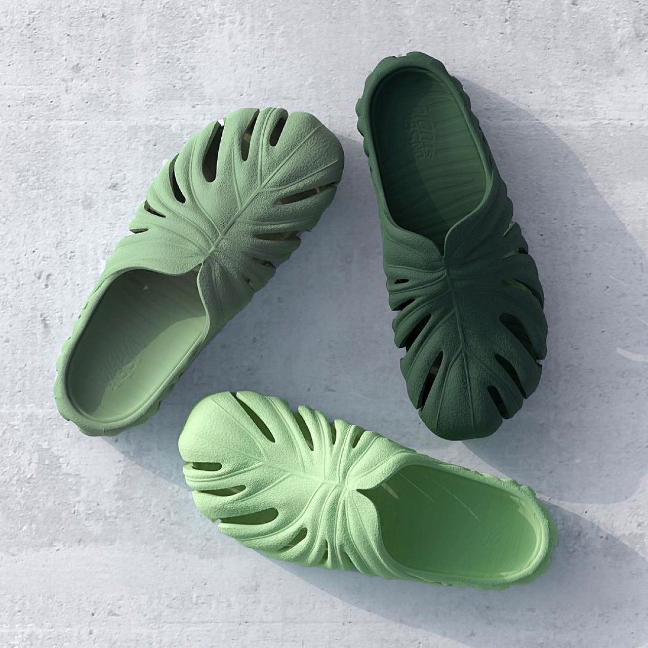 Unsent Studio Monstera Mule