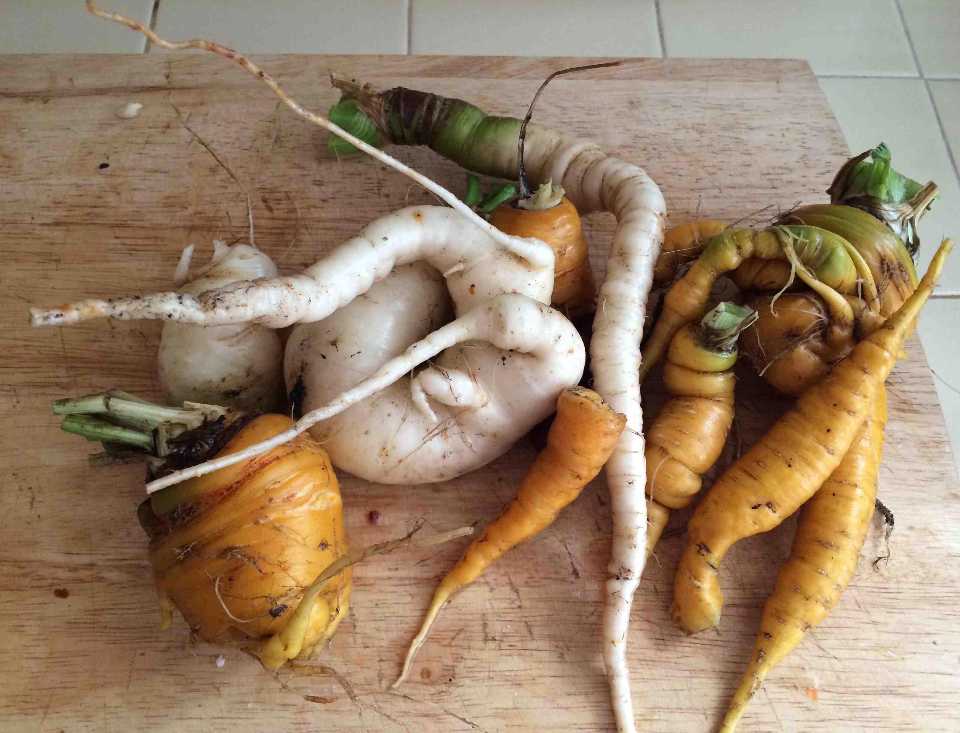 Во Франции запустили доставку уродливых овощей для сокращения отходов