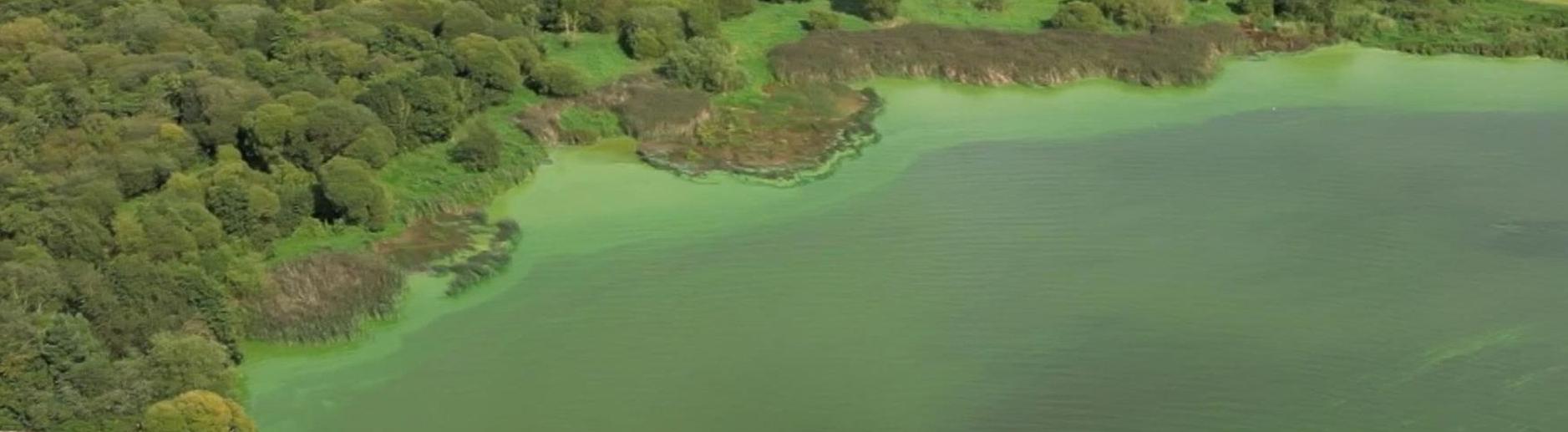 В Британии погибает крупнейшее пресноводное озеро Лох-Ней 
