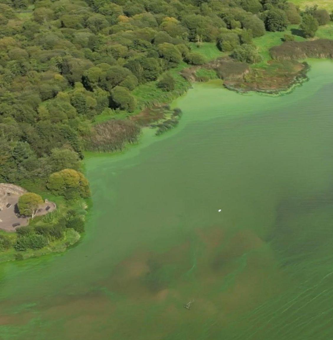 В Британии погибает крупнейшее пресноводное озеро Лох-Ней 