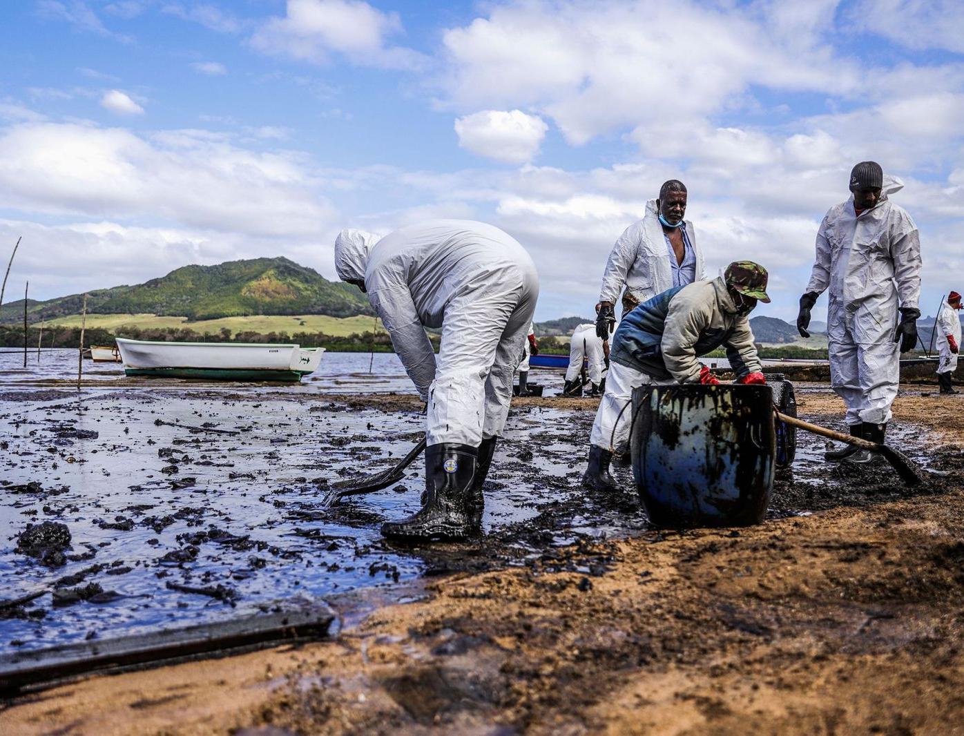 Ученые из Владивостока обнаружили в Японском море бактерии, поглощающие нефть 