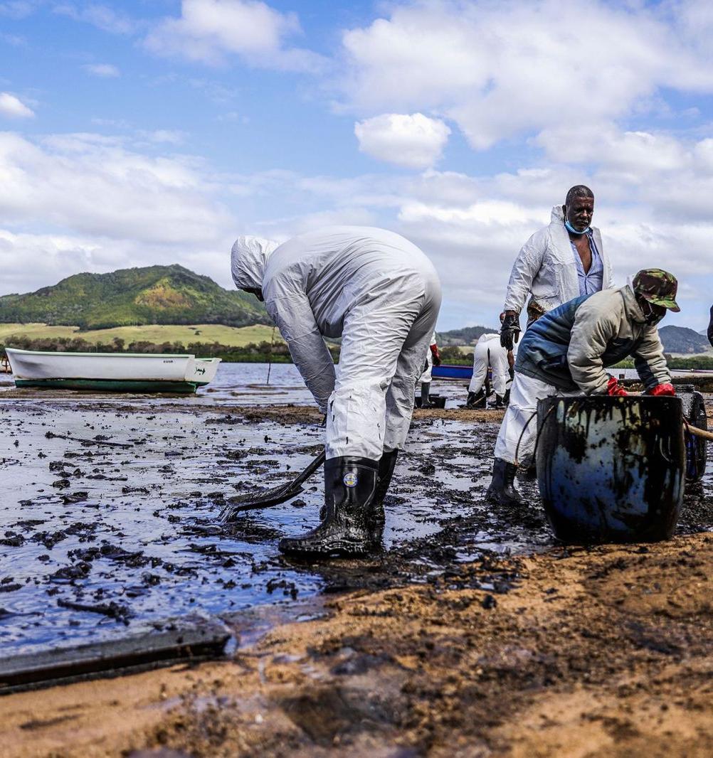 Ученые из Владивостока обнаружили в Японском море бактерии, поглощающие нефть 
