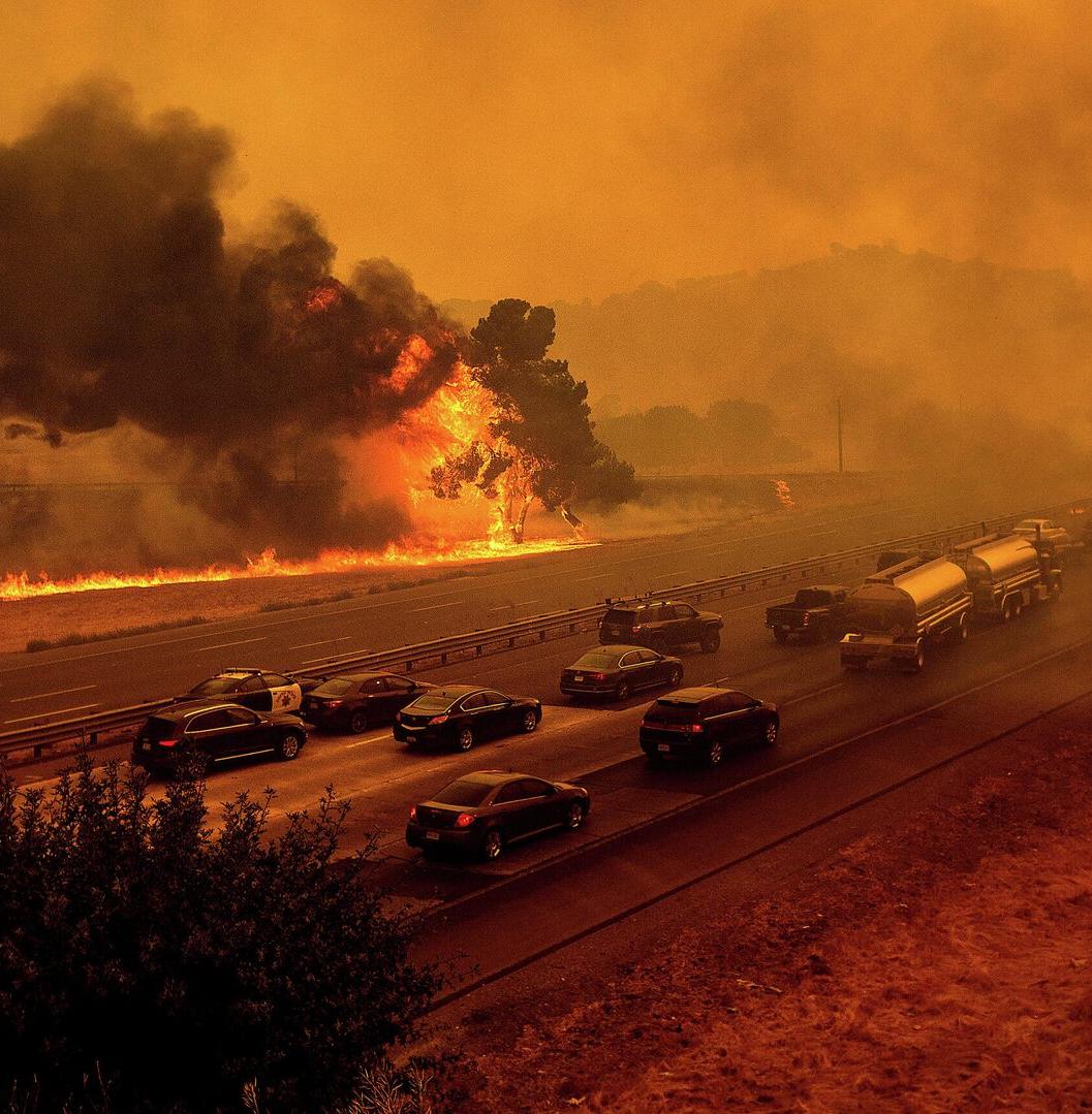 Ученые: лесные пожары высвобождают токсичный металл из почв 