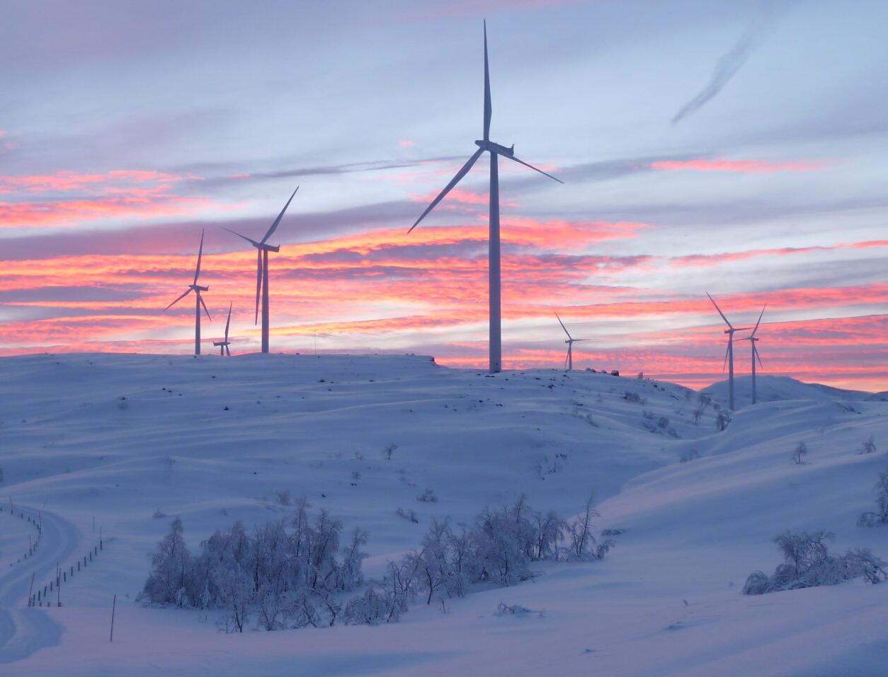 Выработка ветряных электростанций в России в 2022 году выросла на 78,9%