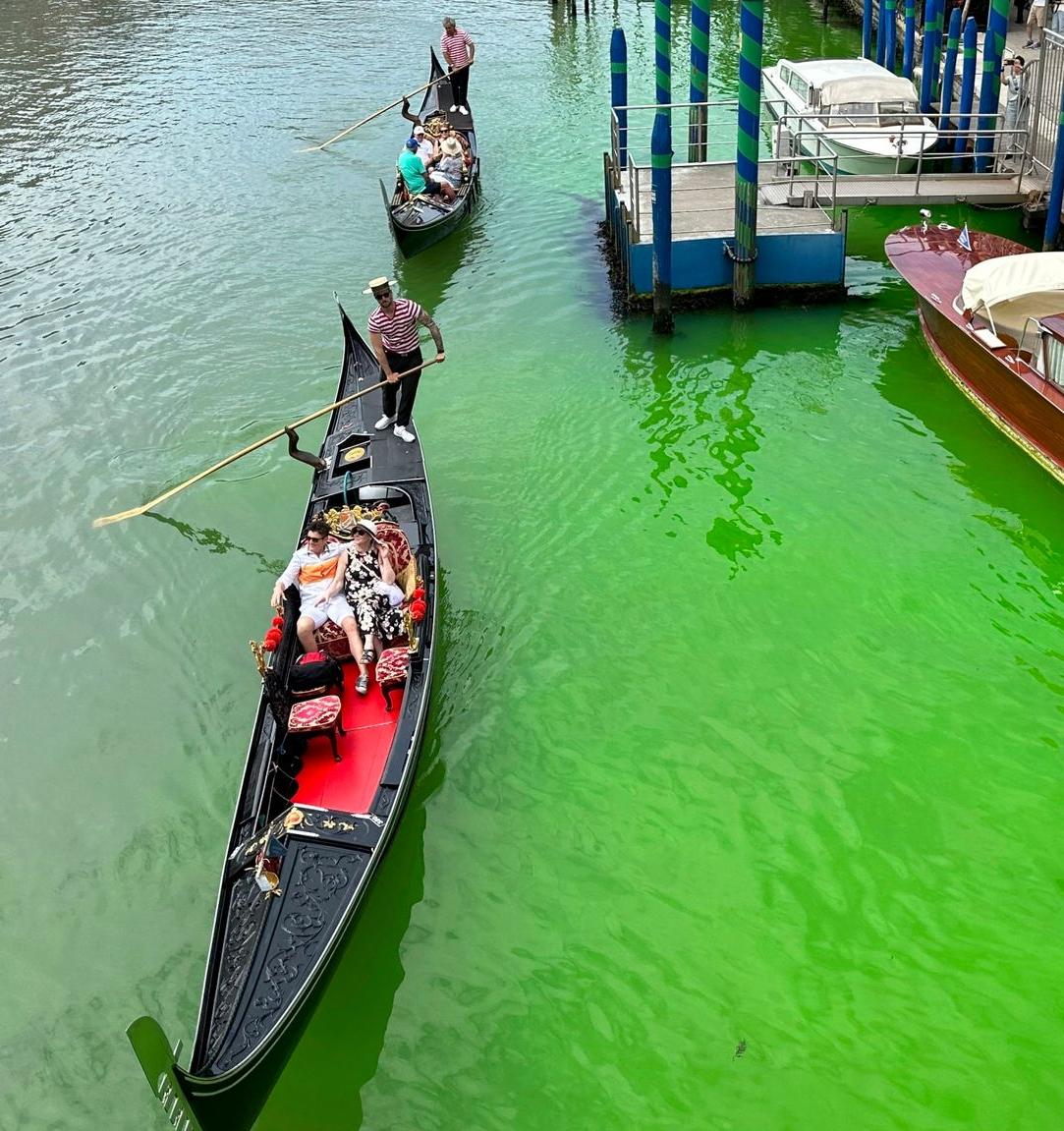 Венецианская полиция ищет виновников позеленевшего Гранд-канала 