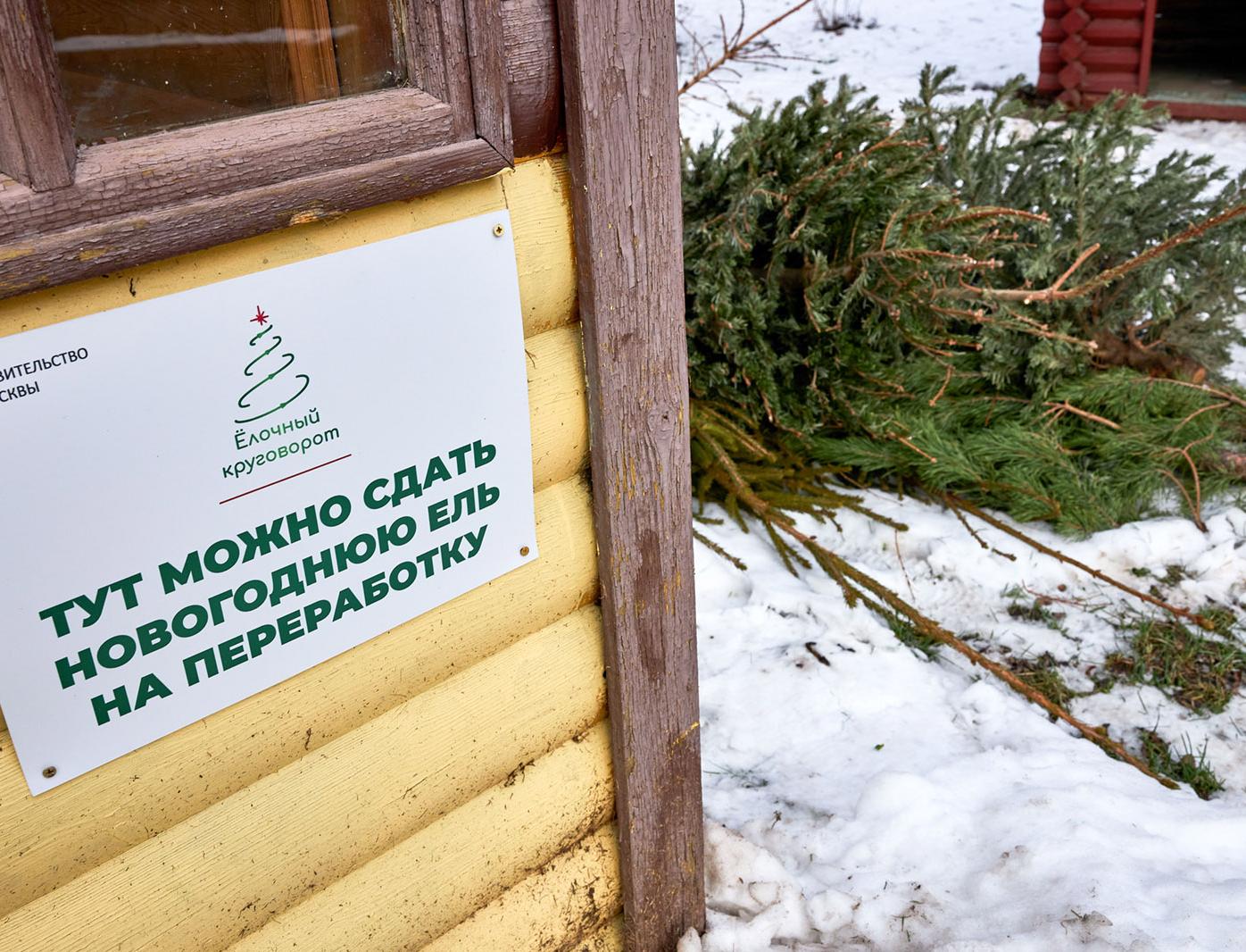 Куда сдать новогоднюю елку на переработку в Москве