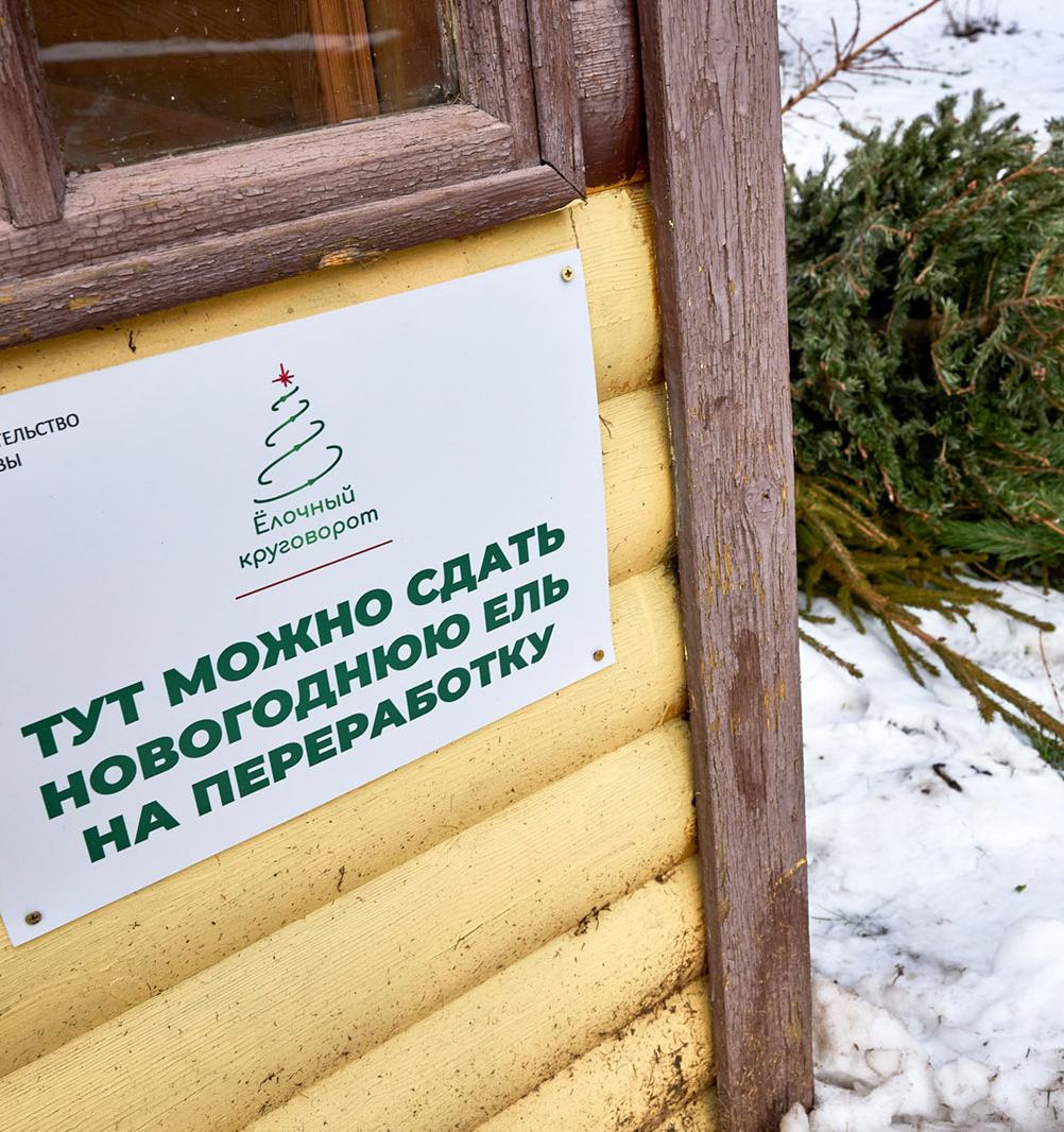 Куда сдать новогоднюю елку на переработку в Москве