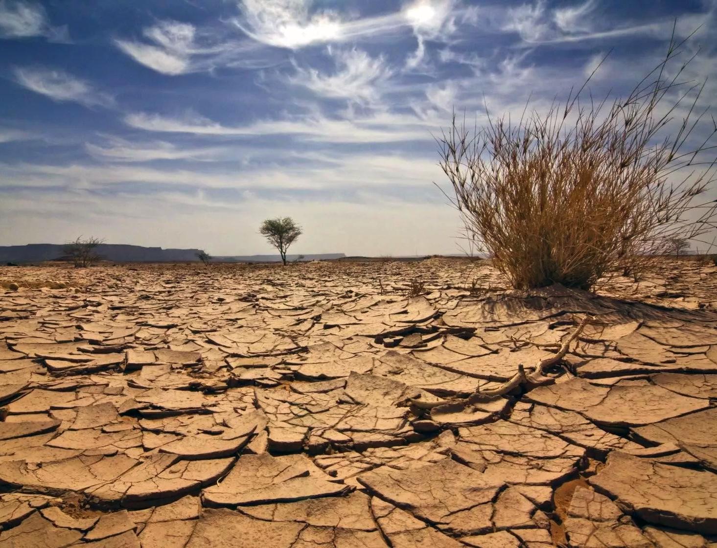 Российские ученые разрабатывают технологии по борьбе с опустыниванием 