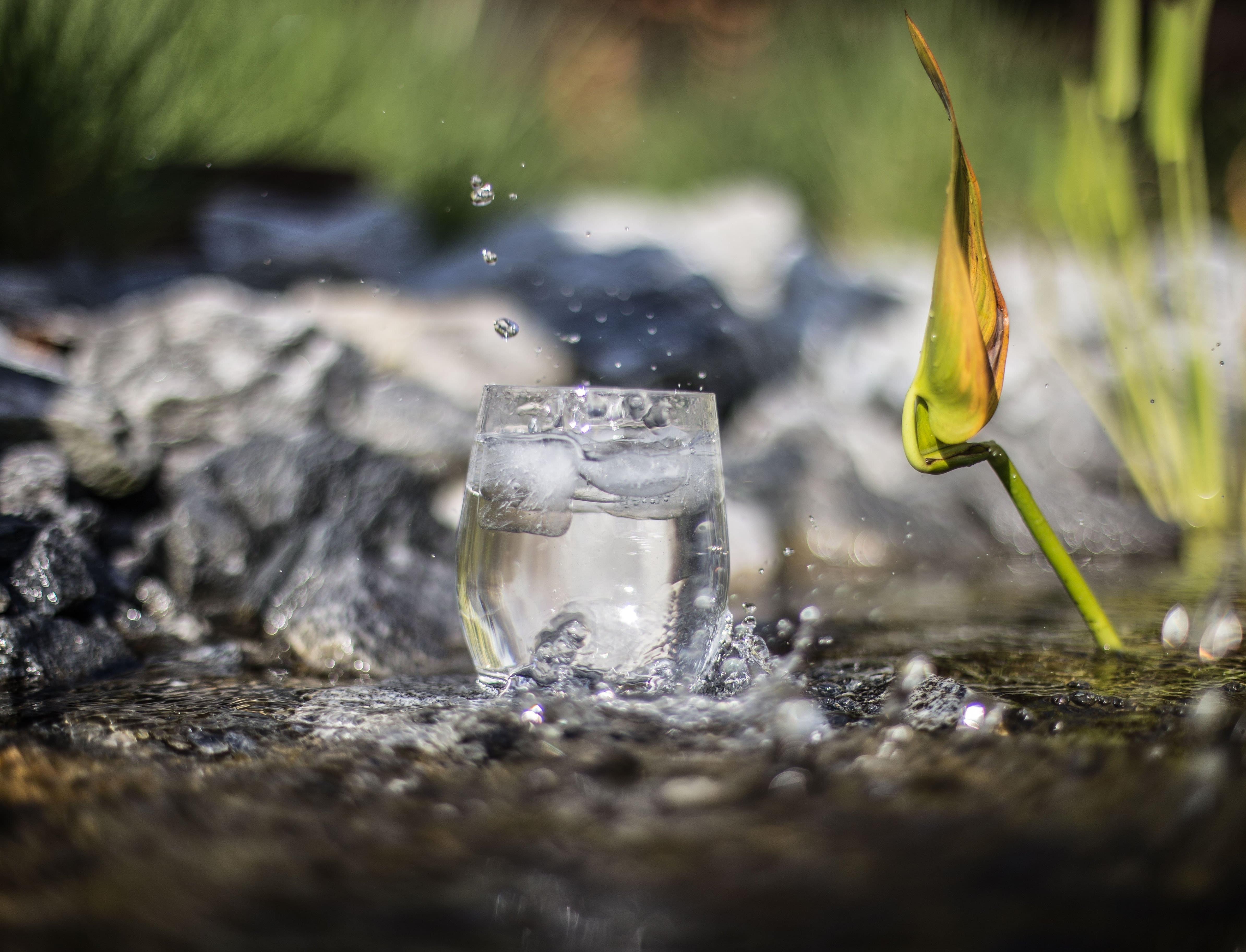 Источник жизни: 5 простых способов сберечь воду 