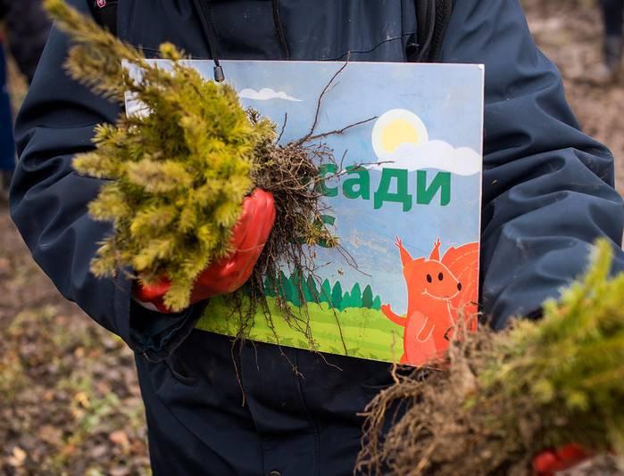 ВЦИОМ: каждый второй россиянин предпринимает меры для уменьшения своего экологического следа 