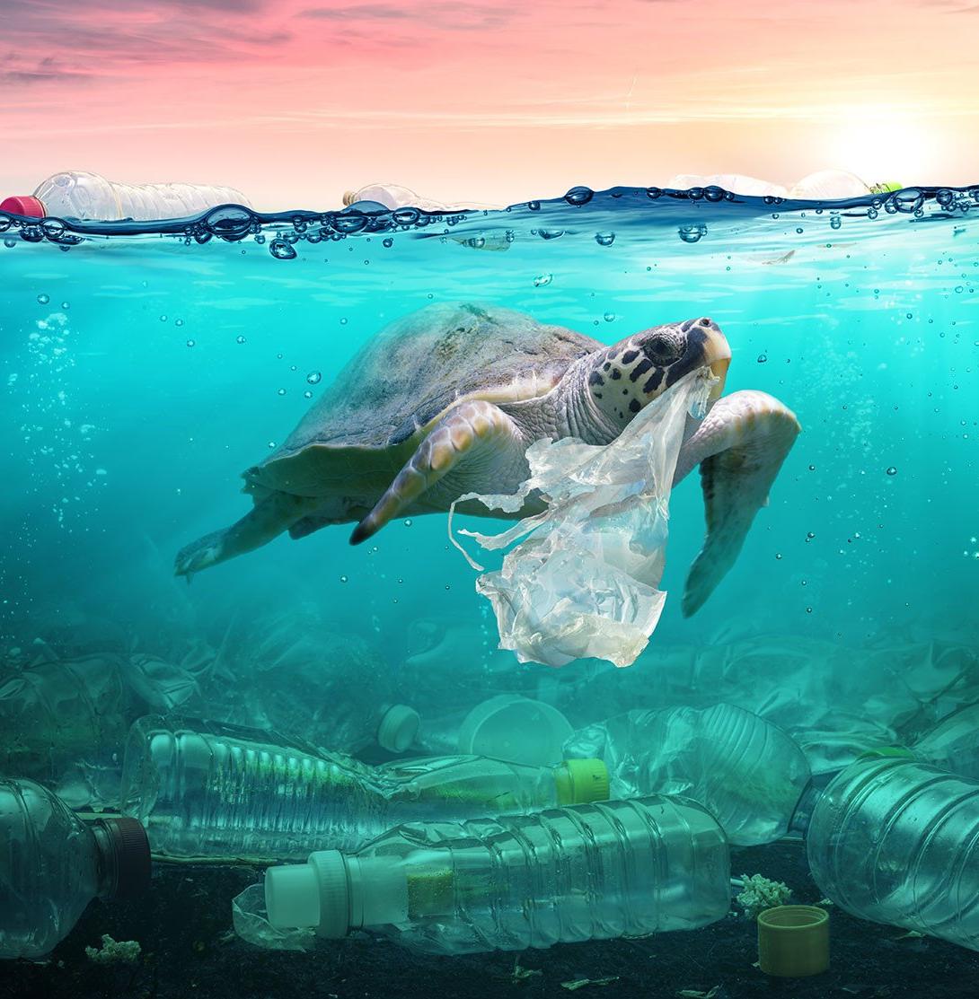 Ученые из США создали бактерию, разлагающую пластик в океане 