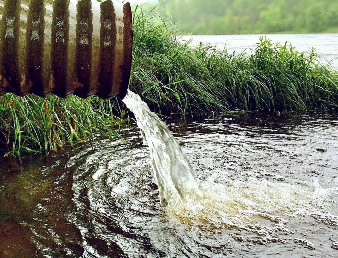 Петербургские ученые нашли экологичный способ очистки сточных вод