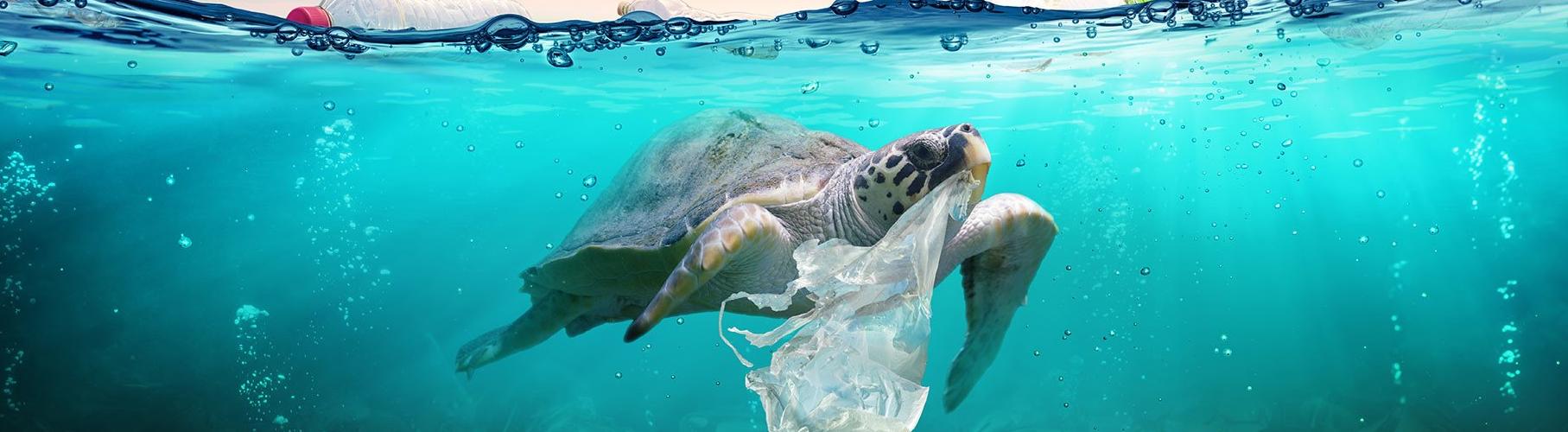 Ученые из США создали бактерию, разлагающую пластик в океане 
