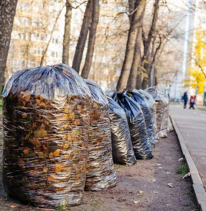 Активисты из Томска запустили эксперимент по компостированию листвы 