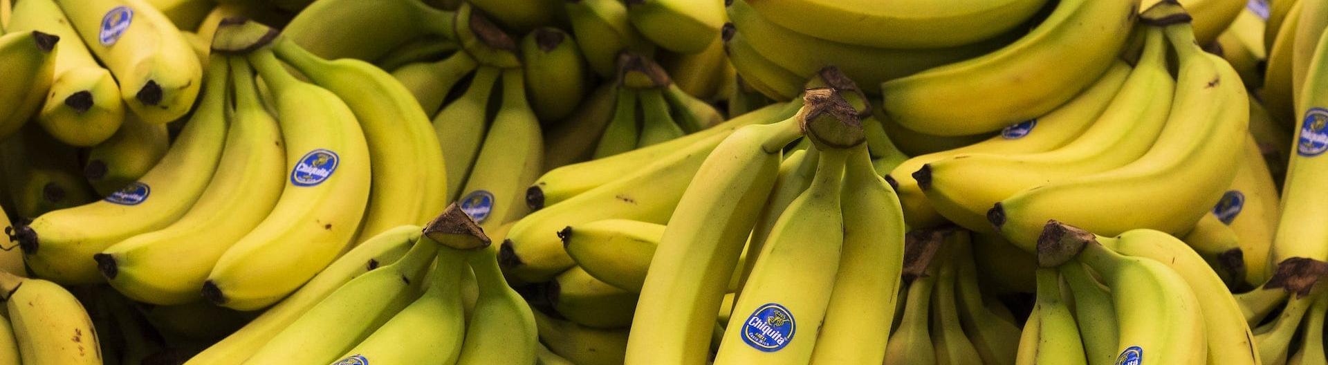 Австралия первая в мире разрешила генномодифицированные бананы 