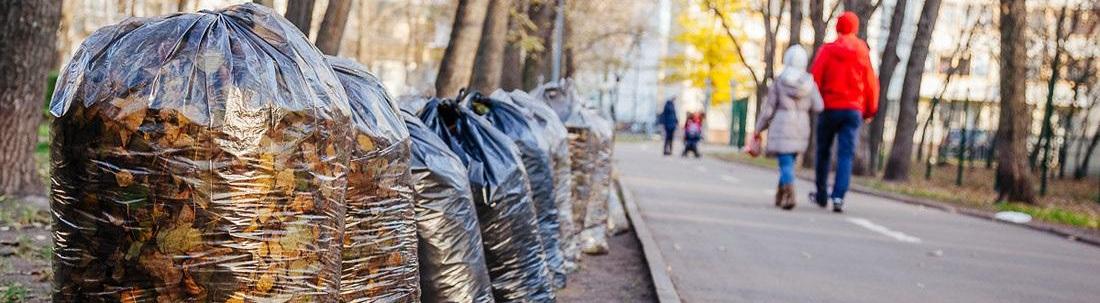 Активисты из Томска запустили эксперимент по компостированию листвы 