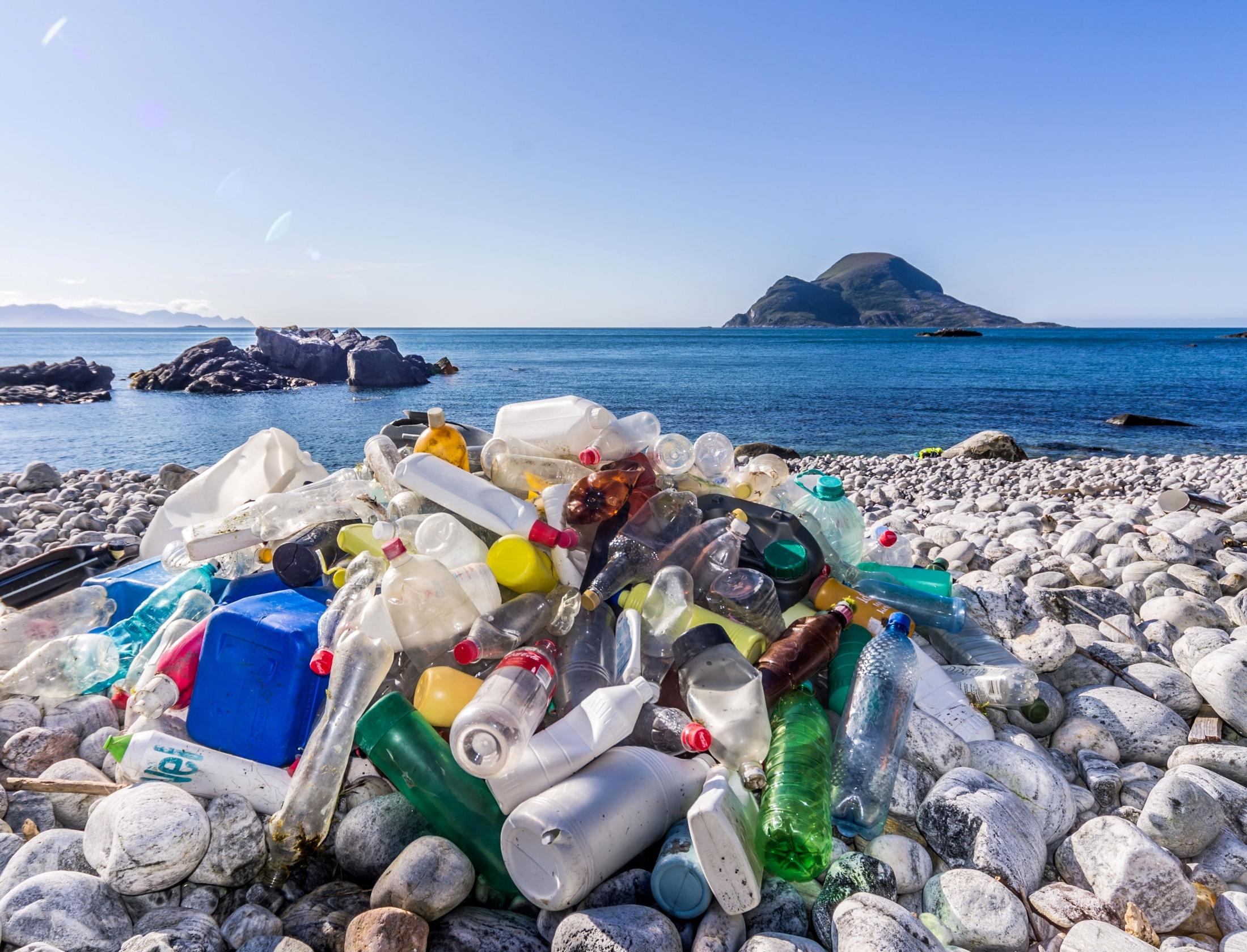 Пластиковая ловушка: как биотехнологии помогают в переработке самого распространенного вида отходов 