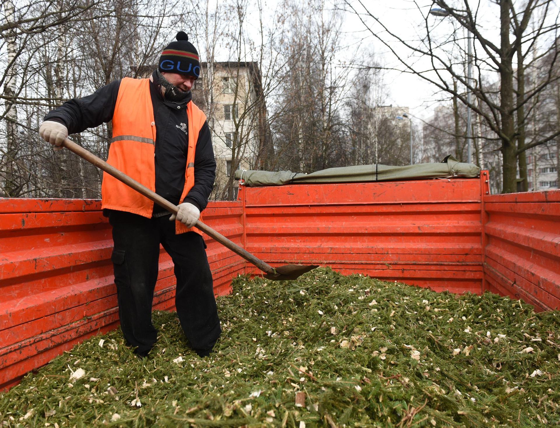 Все магазины МЕГА в России принимают новогодние елки на переработку