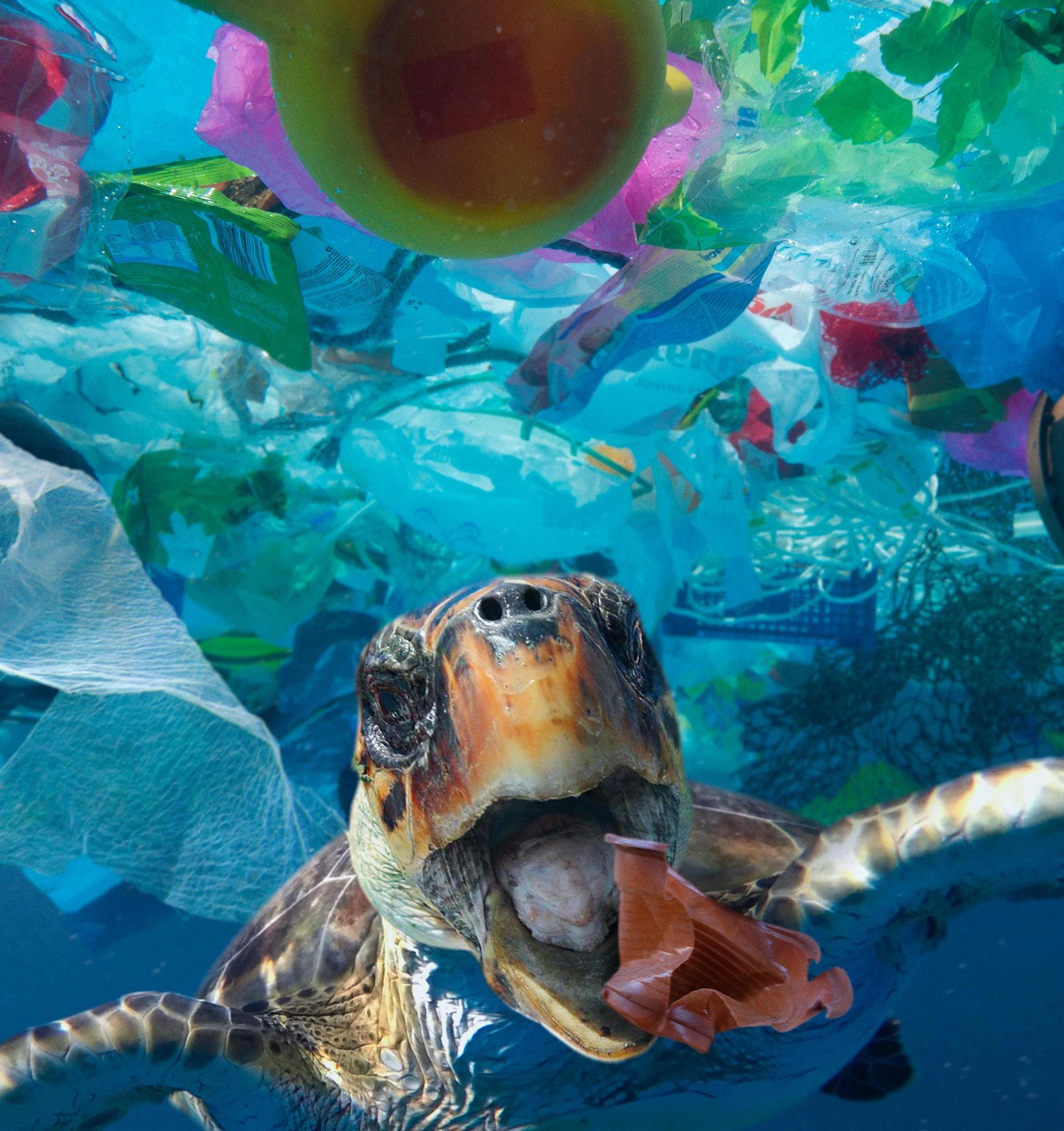 Количество пластика в Мировом океане превысило 170 триллионов кусков 