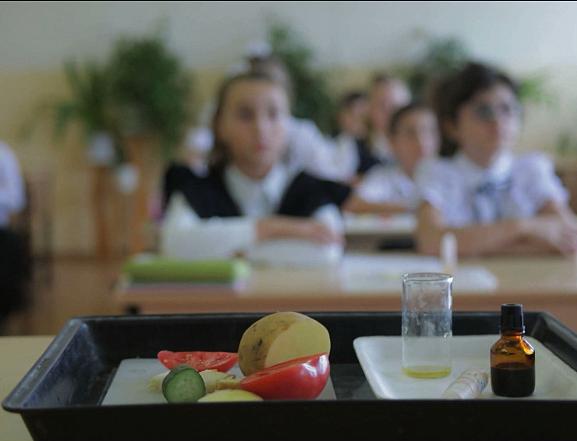 В Ростовской области школьникам расскажут об органическом потреблении 