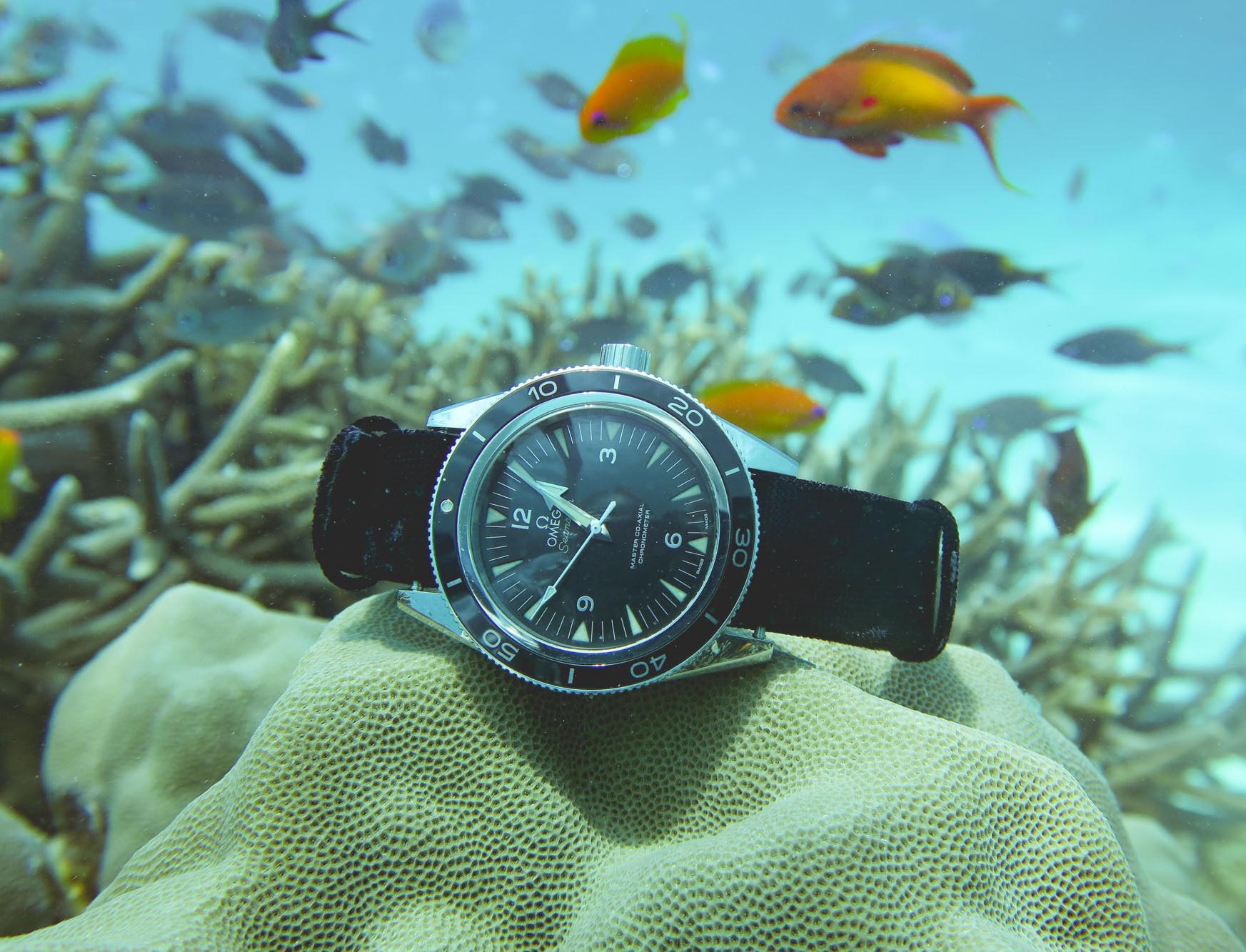 Часы Omega начали поддерживать Фонд сохранения морской среды