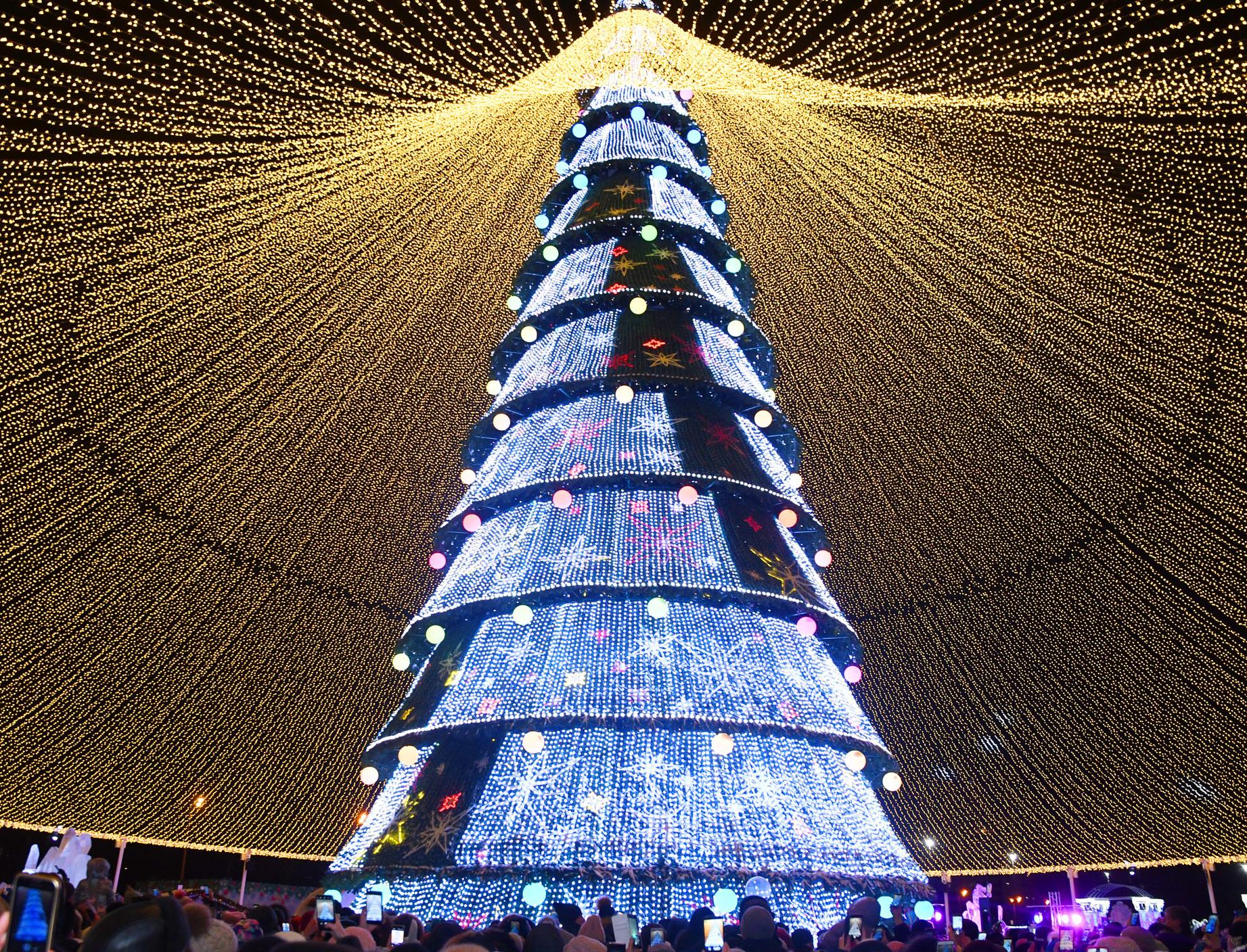 Первую новогоднюю елку из переработанного вторсырья установят в Казани