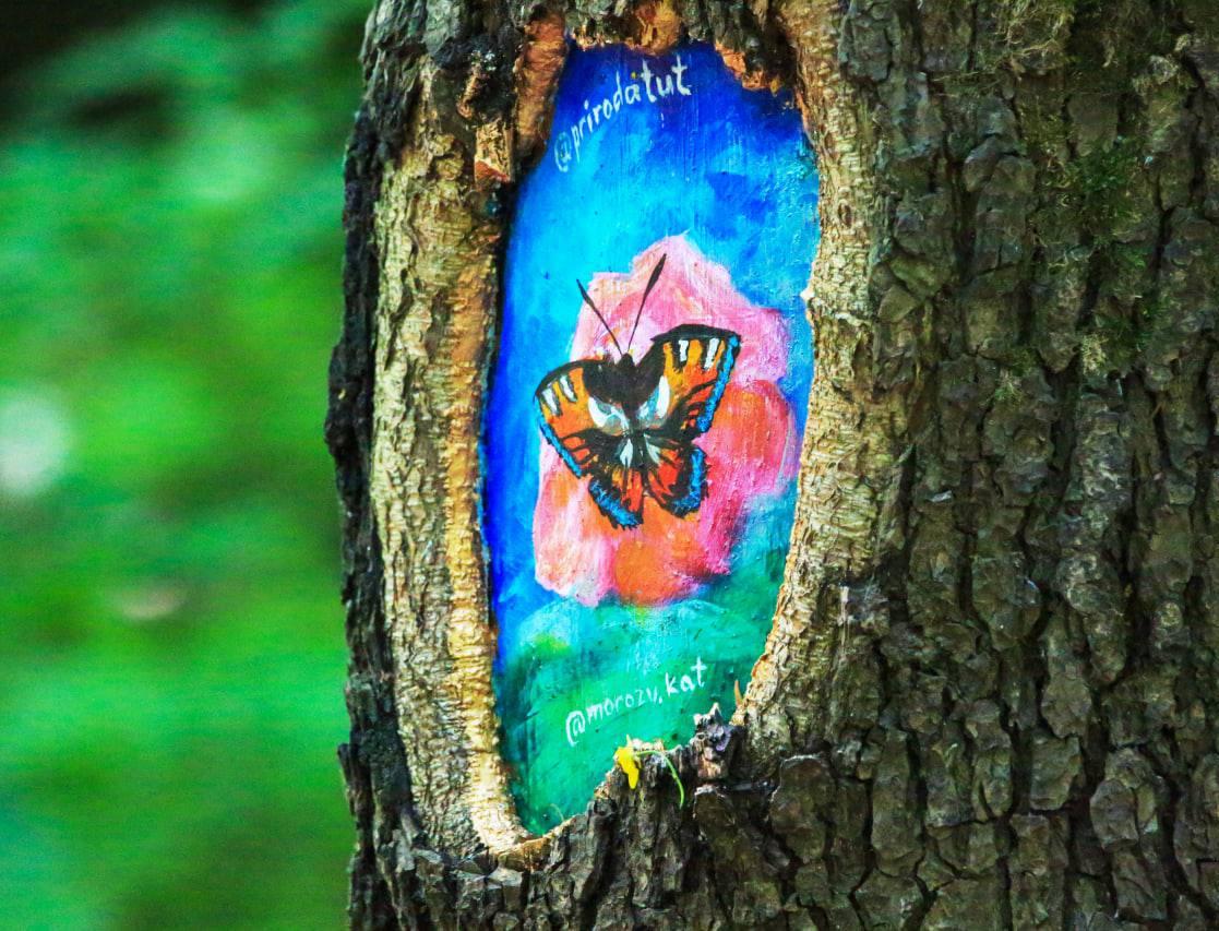60 рисунков в дуплах деревьев появились в московских парках