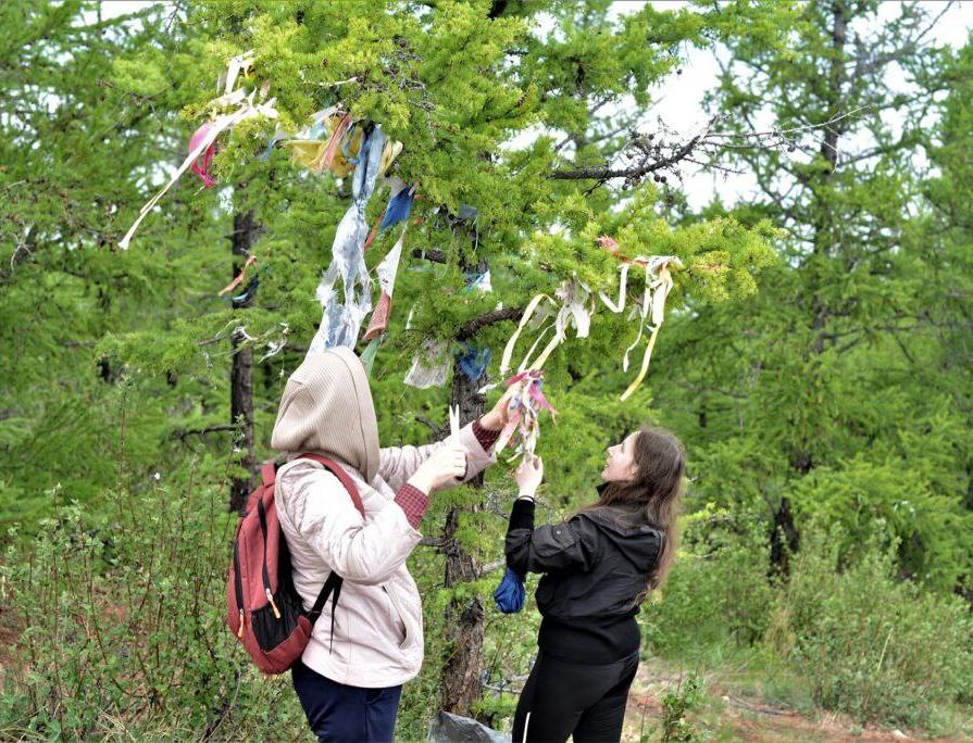 Деревья в Прибайкальском нацпарке очистили от «лент желаний» 