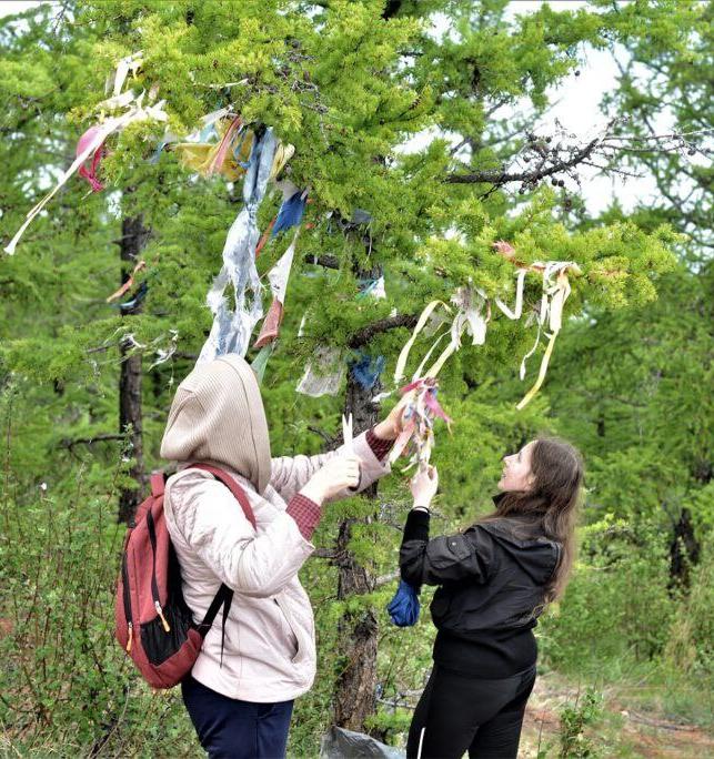 Деревья в Прибайкальском нацпарке очистили от «лент желаний» 