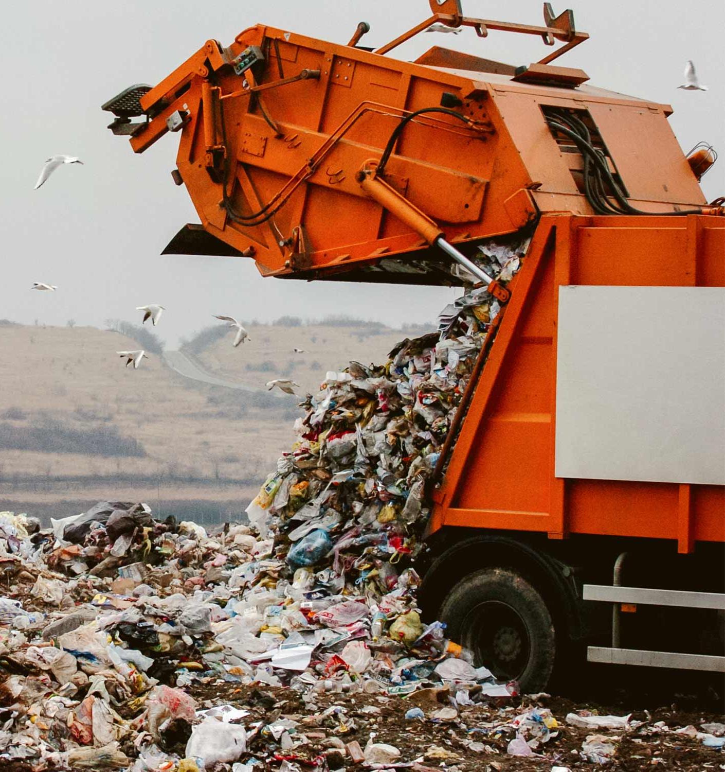 В России появился онлайн-гид по борьбе с мусором