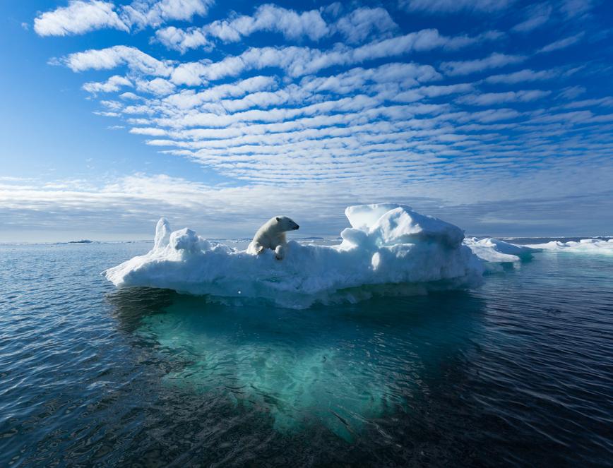 Пластик из Южного полушария находят на островах Северного ледовитого океана