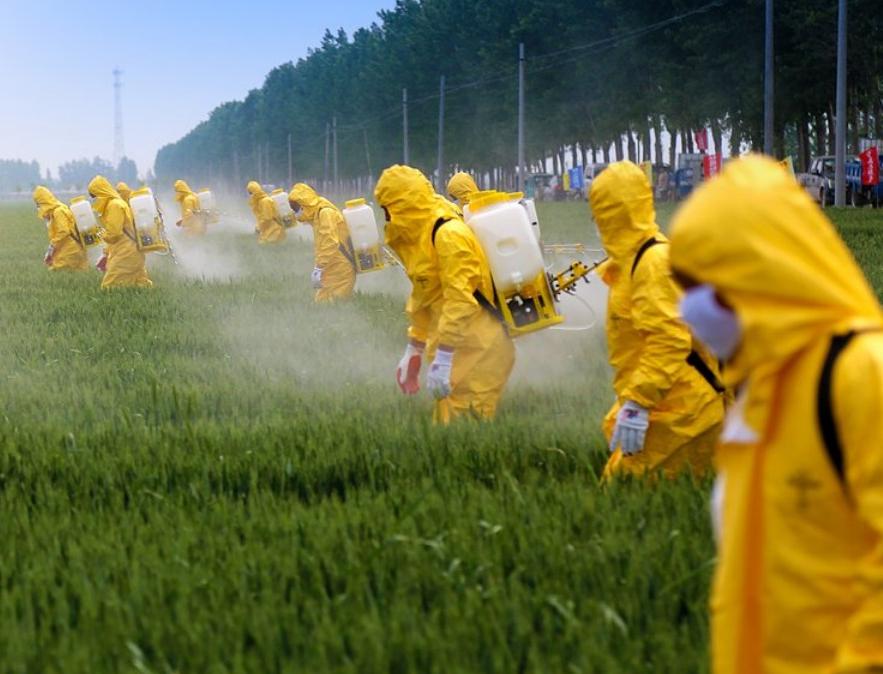 Уровень загрязнения фруктов токсичными пестицидами в Европе вырос на 53%