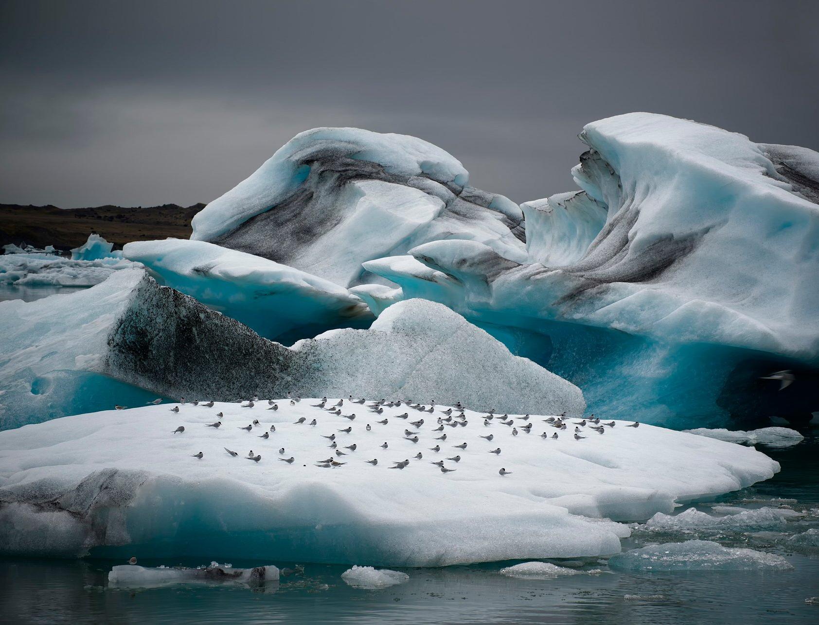 Таяние ледников приведет к потере объектов культурного наследия в Арктике 