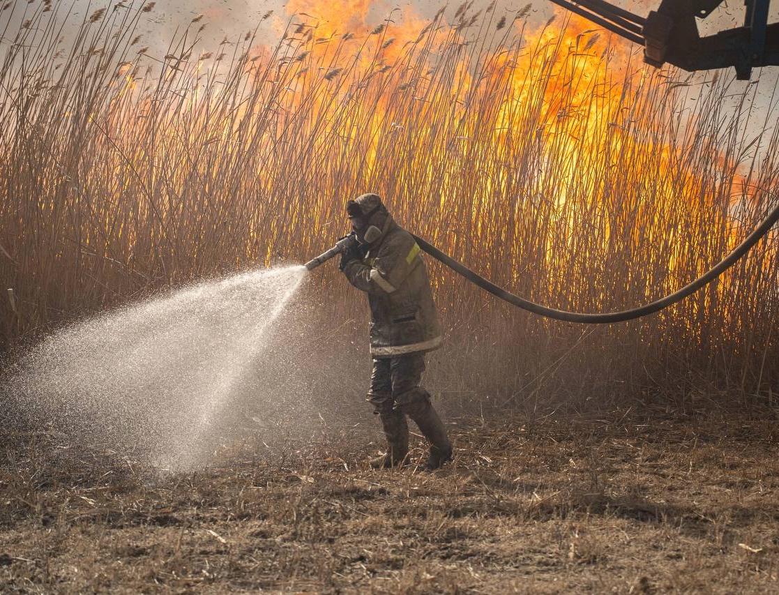Почти 13 тысяч гектаров составила площадь пожара в Астраханском биосферном заповеднике 