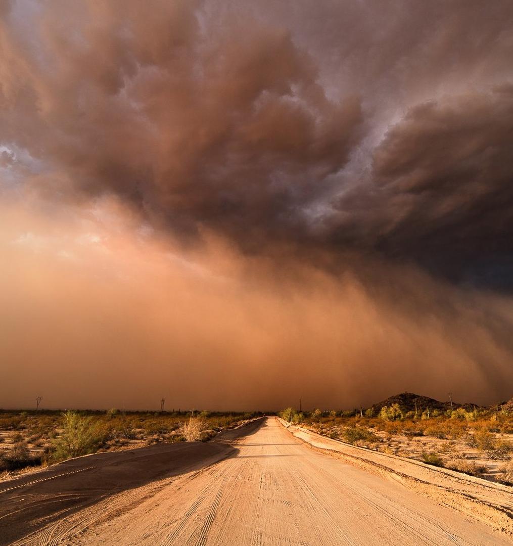 Что такое пыльные бури и чем они опасны? 
