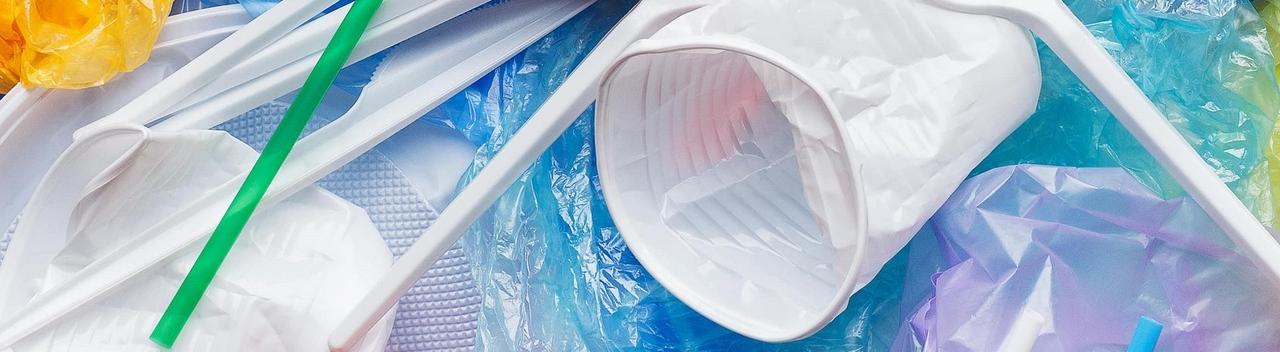 В Приморье откажутся от пластиковой посуды на массовых мероприятиях 