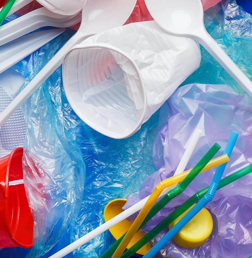 В Приморье откажутся от пластиковой посуды на массовых мероприятиях 