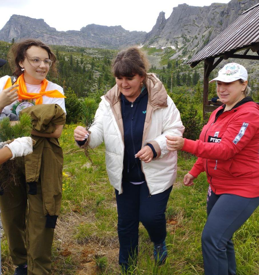 В природном парке «Ергаки» Красноярского края высадили более сотни молодых кедров 