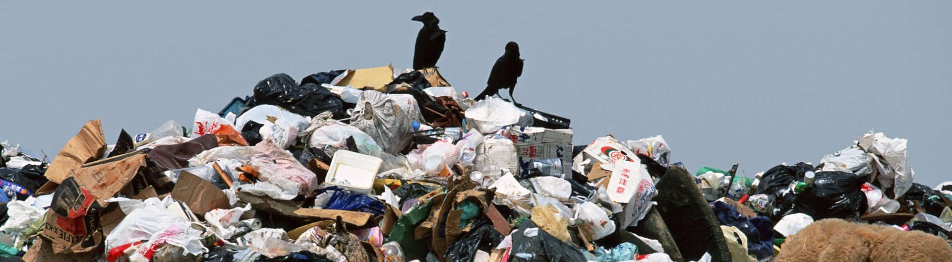 Заработать на отходах: может ли переработка мусора стать бизнесом 