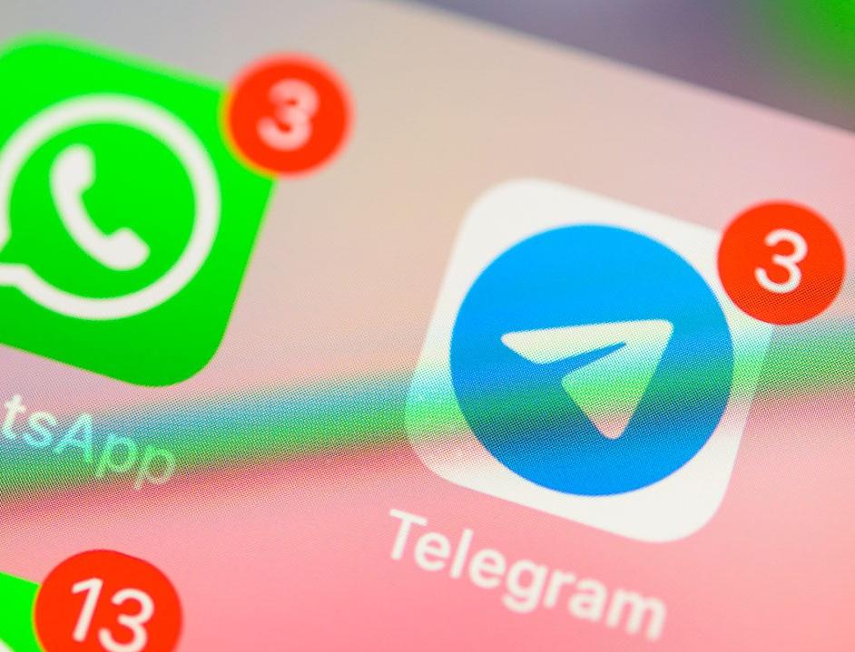 Создан новый бот в Telegram для эковолонтеров и активистов