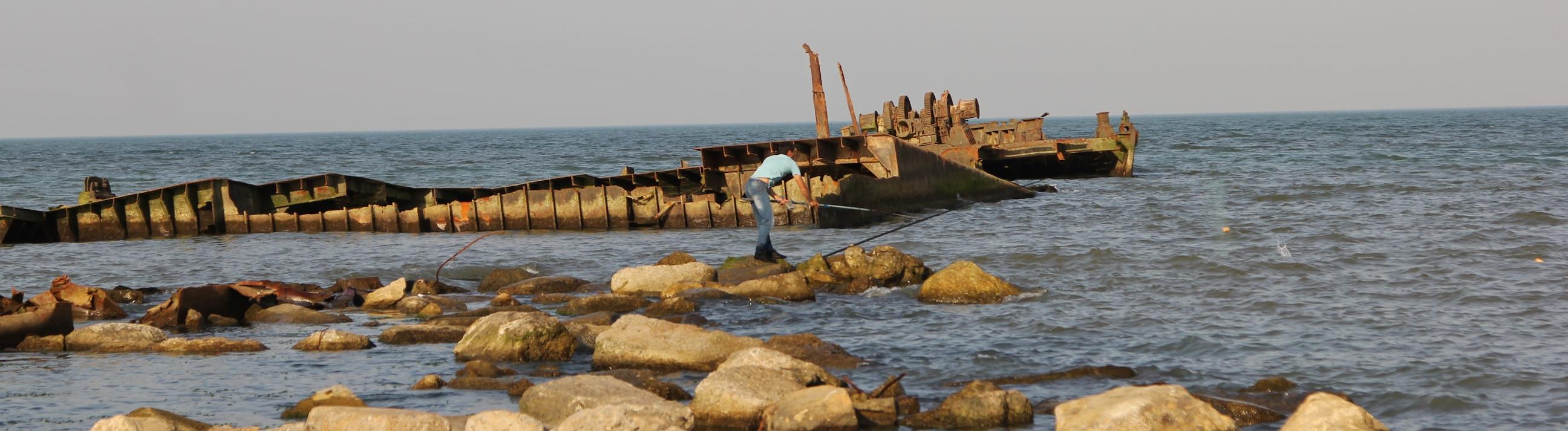 В Казахстане создали НИИ Каспийского моря 