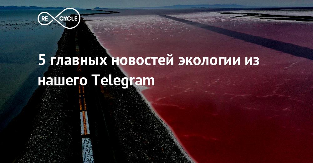 5 главных новостей экологии из нашего Telegram Recycle
